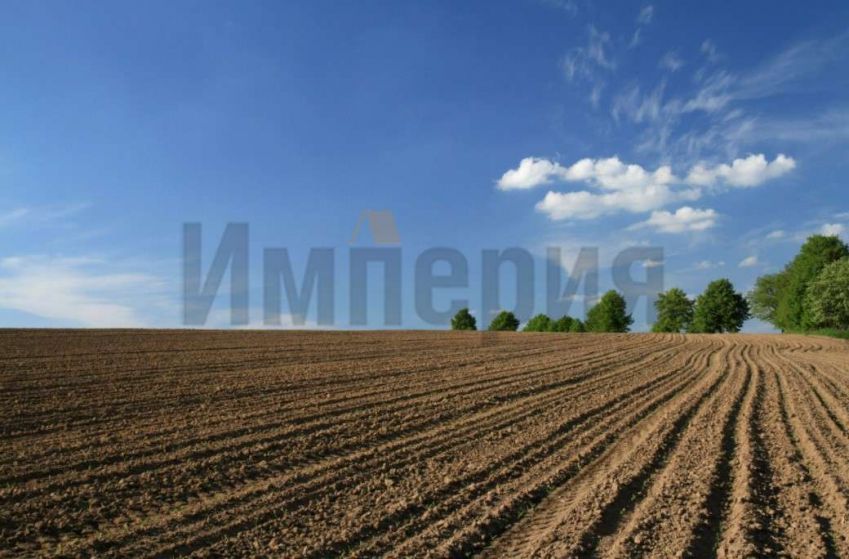 Свинцовка село//ШКОЛЬНАЯ