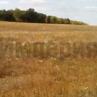 Land Сосновка село, ЦЕНТРАЛЬНАЯ