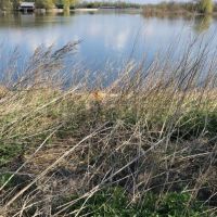 Land Чардым село, НАБЕРЕЖНАЯ