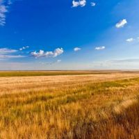 Land Сергиевский посёлок, Заречная улица