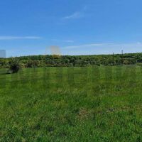 Land Сосновка село, ЦЕНТРАЛЬНАЯ