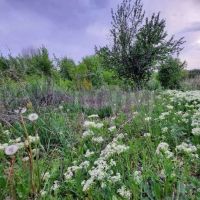 Участки Саратов, Пролетарская улица